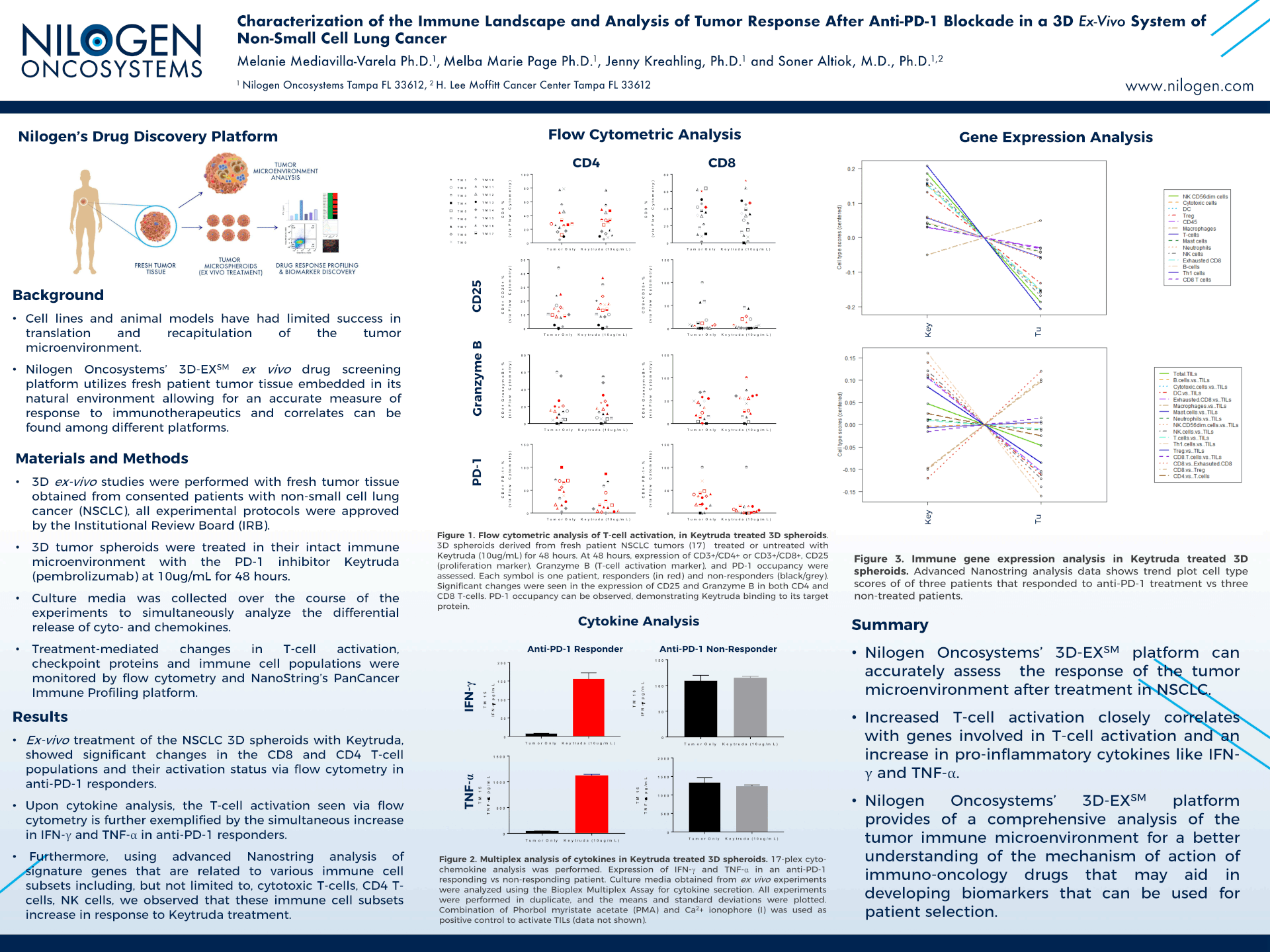 Characterization of the Immune Landscape and Analysis of Tumor Response After Anti-PD-1 Blockade in a 3D Ex-Vivo System of Non-Small Cell Lung Cancer Characterization of the Immune Landscape of Tumor Response After Anti-PD-1 Blockade Analysis