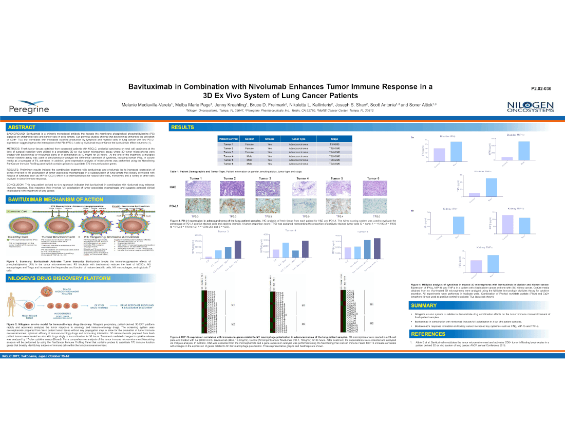 Bavituximab Activates CD8+ TILs in a 3D Ex Vivo System of Lung Cancer Patient Derived Tumors with Negative PD-L1 Expression. Bavituximab + Nivolumab enhances tumor Immune response in a 3D Ex Vivo System of Lung Cancer Patients