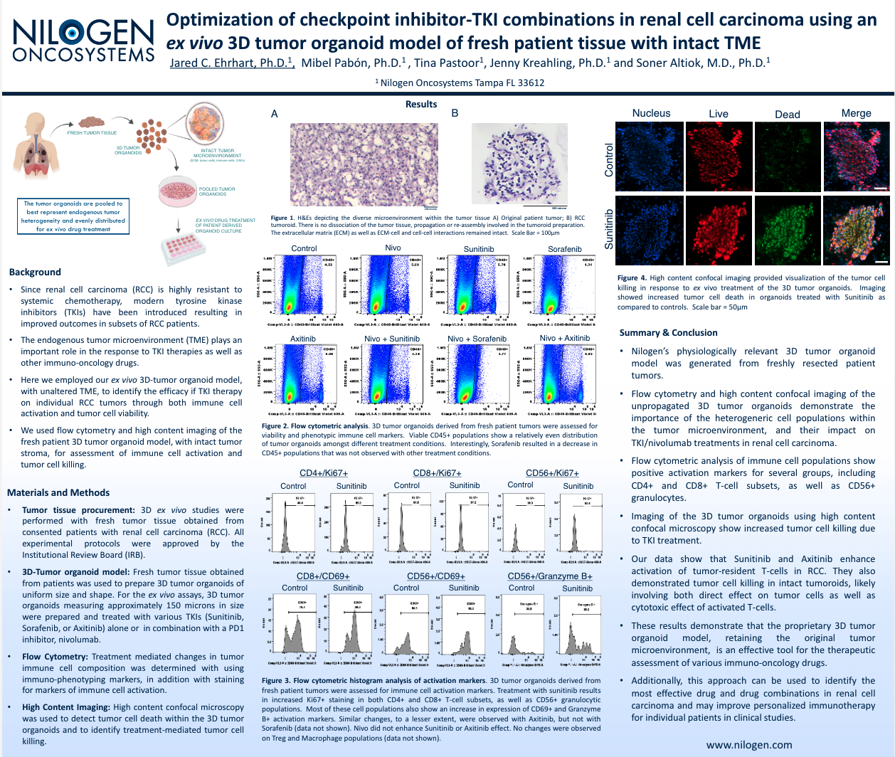 Optimization of checkpoint inhibitor-TKI combinations in renal cell carcinoma using an ex vivo 3D tumor organoid model of fresh patient tissue with intact TME