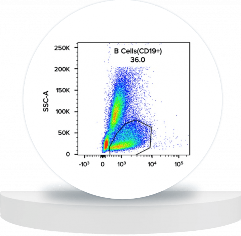 Flow Cytometry Services Nilogen Oncosystems