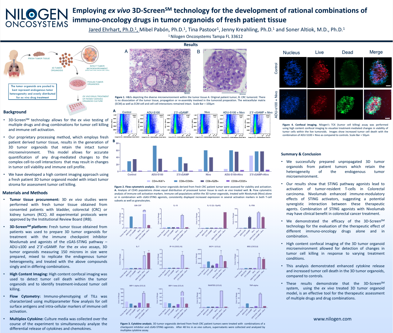 Employing ex vivo 3D-Screen technology for the development of rational combinations of immuno-oncology drugs in tumor organoids of fresh patient tissue
