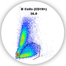 services-widget-flow-cytometry@2x