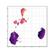 services-widget-total-rna-seq-circle